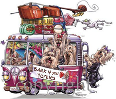 Holiday / Day Care Services for yorkies