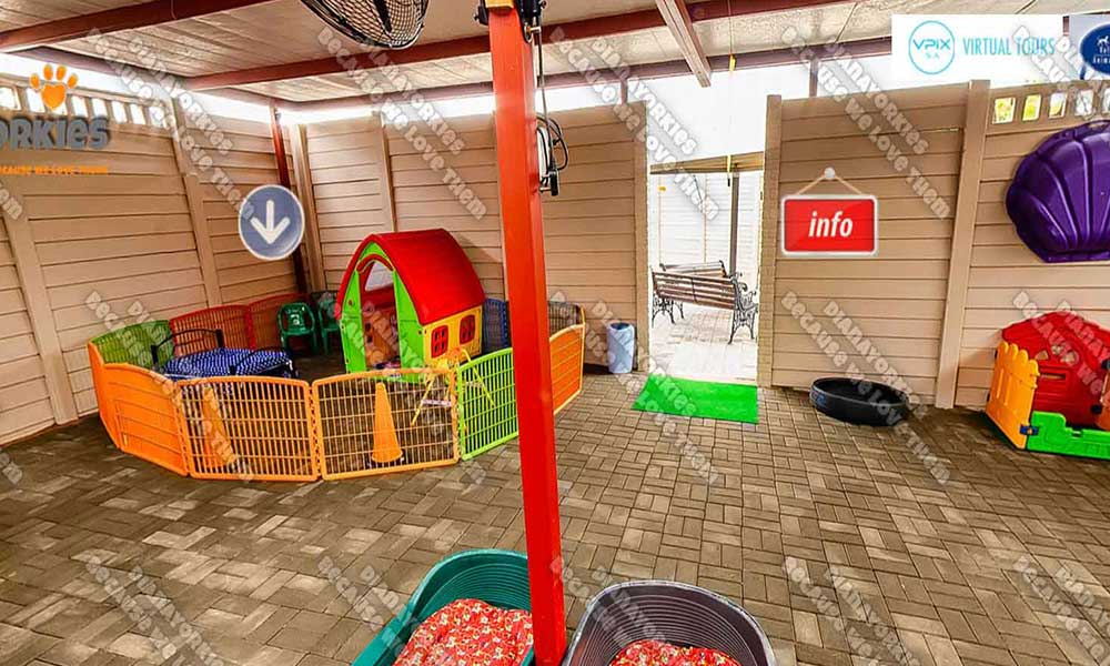 Play Area