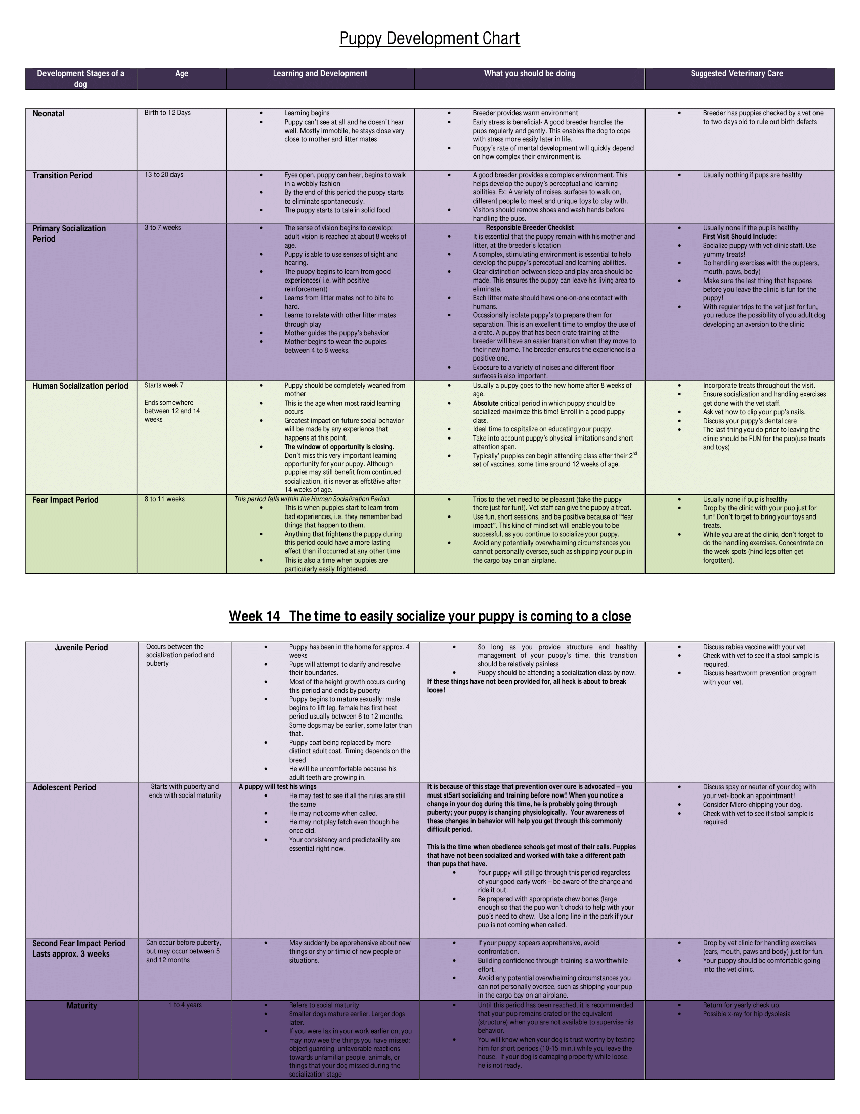 Puppy Development chart