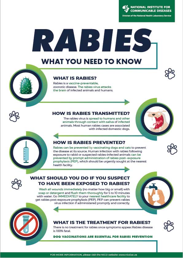 Rabies What you need to know