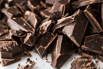 chocolate christmas foods dog