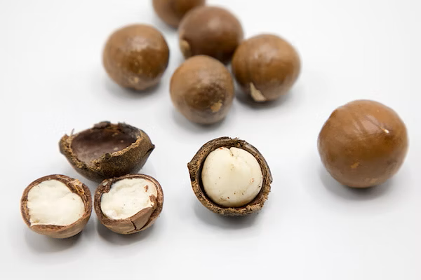 christmas foods dogs cant eat macadamia nuts