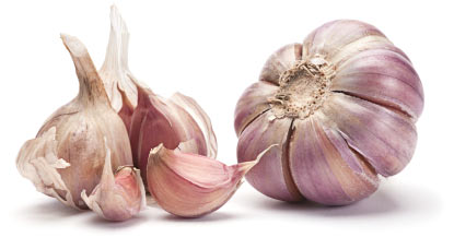 garlic